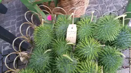 20170906_174055[1].webp
