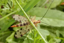 DSCN8357.webp