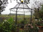 DSC02285.jpg