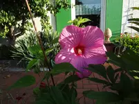 DSC02300.webp