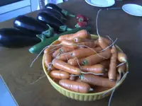 BILD8254.webp