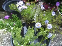 BILD8259.webp