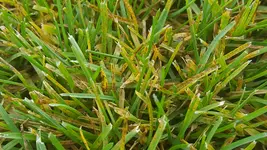 20170910_105801.webp