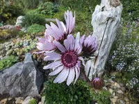 DSCF0117 (2).webp
