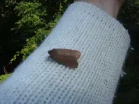 BILD8201.webp