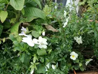 IMG_20170911_140719.webp