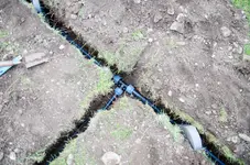 Bewässerung-5.webp