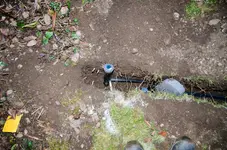 Bewässerung-6.webp