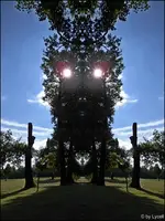 F061.webp