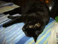 IMGP5266.webp