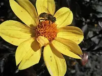 DSCI2374.webp