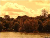F066.webp