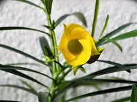 DSC01949.webp