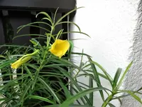 DSC01956.webp