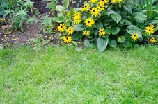 Bewässerung-10.webp