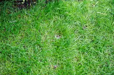 Bewässerung-11.webp