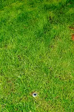 Bewässerung-12.webp