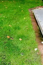 Bewässerung-13.webp