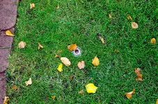 Bewässerung-14.webp