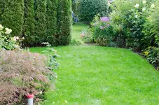 Bewässerung-16.webp