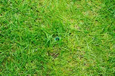 Bewässerung-17.webp