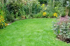 Bewässerung-18.webp