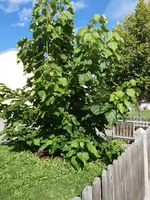 IMG_20170911_101302 (1).webp