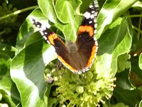 P1020064.webp P1020064.webp