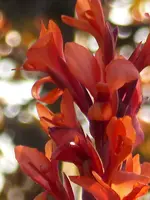 P1020276.webp P1020276.webp