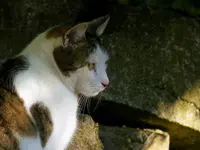 P1020284.webp P1020284.webp