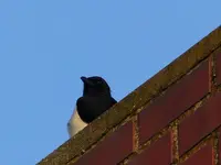 P1020298.webp P1020298.webp