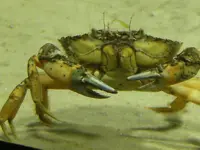 DSCF2659.webp