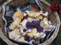 001_1024x768.webp