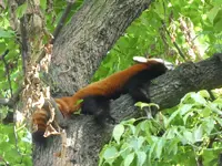 Zoo 02.webp