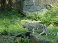 Zoo 04.webp