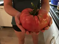 Paul_02.webp Paul_02.webp