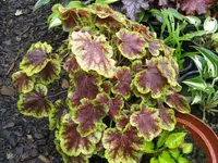 001_1024x768.webp