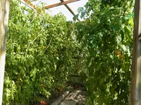 014.webp