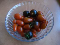 Tomaten2.webp