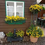 170913              Gelb passt!.webp