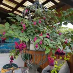 170913 Baustelle Schattensitz.webp