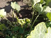 IMG_20170915_154402.webp