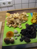 015_576x768.webp