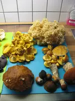 016_576x768.webp