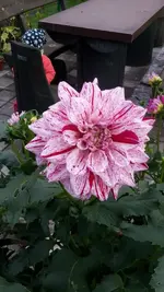 20170916_173320.webp