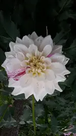 20170916_173331.webp