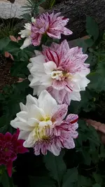 20170916_173302.webp
