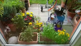 20170901_112635.2.webp