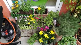 20170831_122425.2.webp