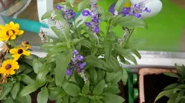 20170831_122500.2.webp